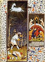 Entretien de la vigne, sarclage